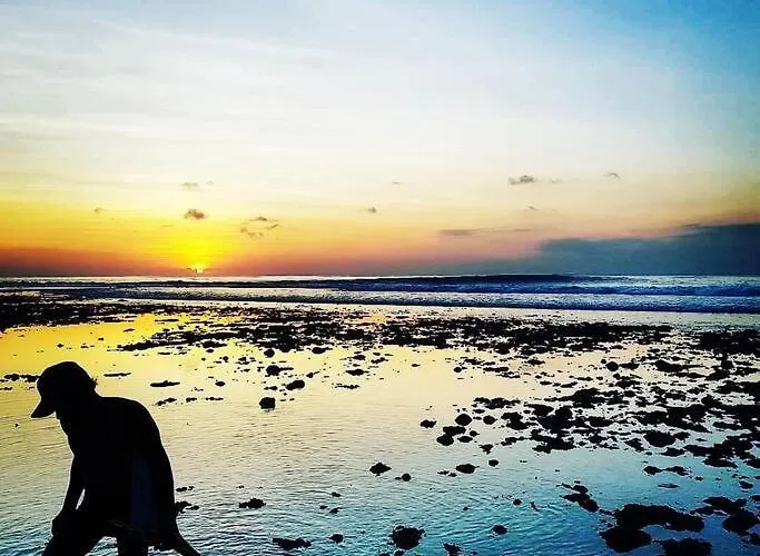 Song * Canggu (Bali)